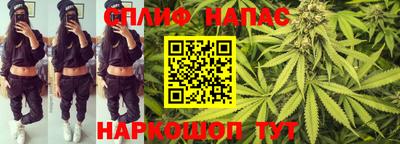 PSILOCYBIN Гагарин