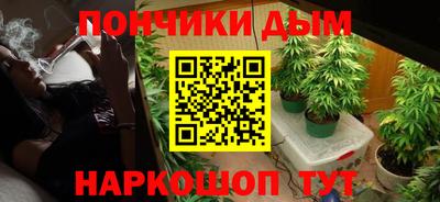 ПСИЛОЦИБИНОВЫЕ ГРИБЫ Гатчина