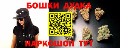 spice Гай