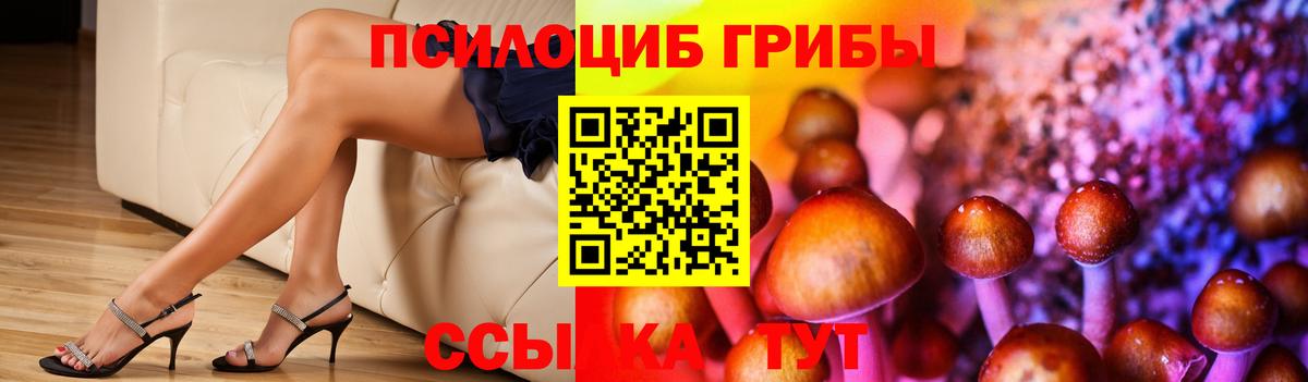Галлюциногенные грибы Magic Shrooms Мытищи