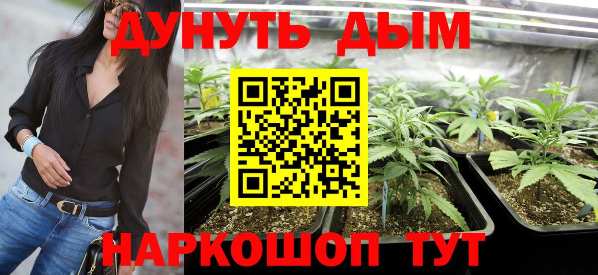 Мытищи  МАРИХУАНА планчик  Вход с VPN  Конопля тримм 